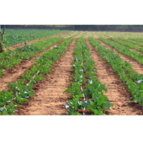 Cultivation Plastic Short Term Crop Drip Irrigation System 34.80 $/ Piece